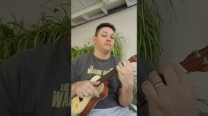 Kmise Solid Spruce Top Concert Ukulele Review