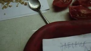 ЗАГОТАВЛИВАЕМ СЕМЕНА ТОМАТОВ ПРАВИЛЬНО.  Ольга Чернова 9 августа