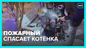 Пожарный откачал задыхающегося от дыма котёнка – Москва 24