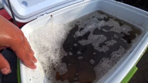 Рыбалка в Темрюкских лиманах, подводные съемки рыбы!