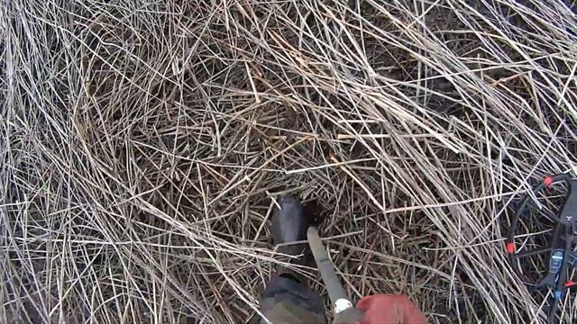 НАШЕЛ СТАРУЮ ФЕРМУ В ГЛУШИ И НАКОПАЛ ХОРОШЕЕ ЖЕЛЕЗО! Коп металлолома