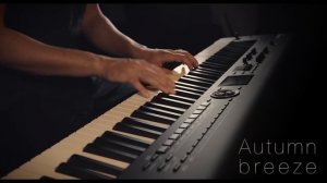Autumn breeze \\ Original by Jacob's Piano \\ Relaxing Piano