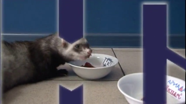 Харек Степан - талисман ХК«Южный Урал» смотреть онлайн