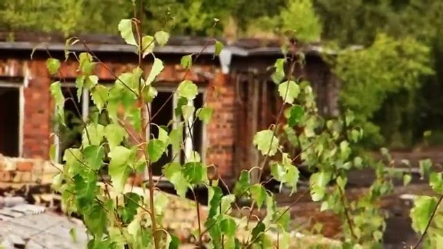 Airbase Wittstock - 15 Years later Test Panasonic GS500 смотреть онлайн