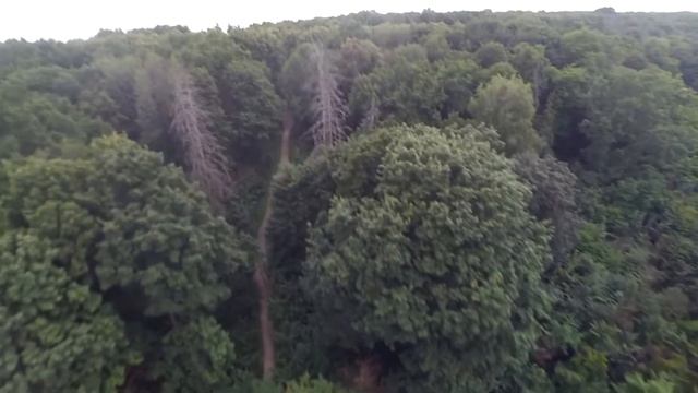 Шаровский замок с высоты птичьего полета смотреть онлайн