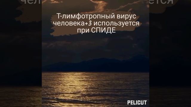 ?Матрица Гаряева .