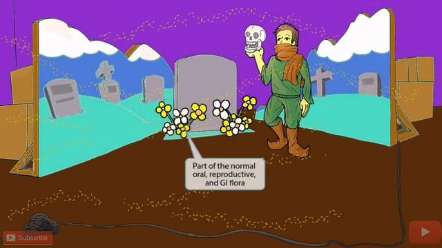 How Bacteria's Can Be Killed? Part - 19 Actinomyces Israelii смотреть онлайн