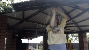 Клематис мелкоцветковый: уход, цветение, обрезка.