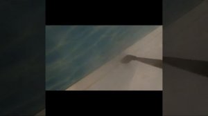 Отмывает на ура!Применение в ванной комнате.Обзор паровой швабры Kitfort KT-1001