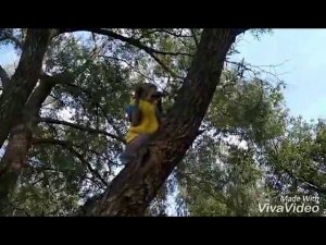 Яванская макака Фёдор на пикнике