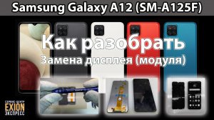 Samsung Galaxy A12 (SM-A125F) - Разборка и Ремонт