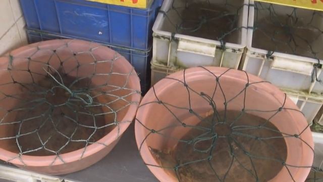 Специалисты предполагают, вирус может передаваться через еду и посылки.