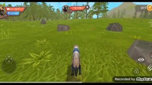 симулятор животных