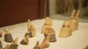 Основы сохранения биоразнообразия