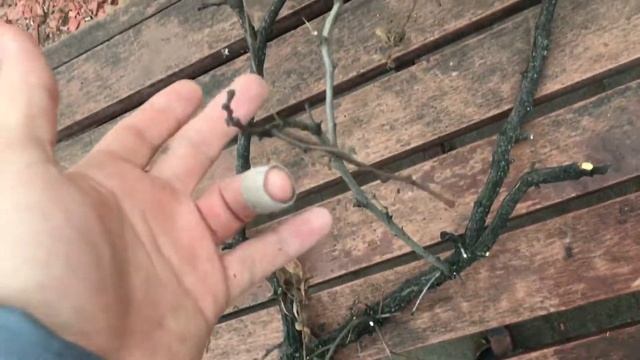 обзор на палку смотреть онлайн