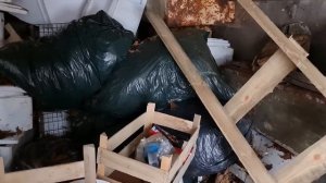 4151 Чем кормить червя зимой