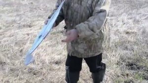 Копчёные караси