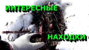 Интересные находки с металлоискателем!!!