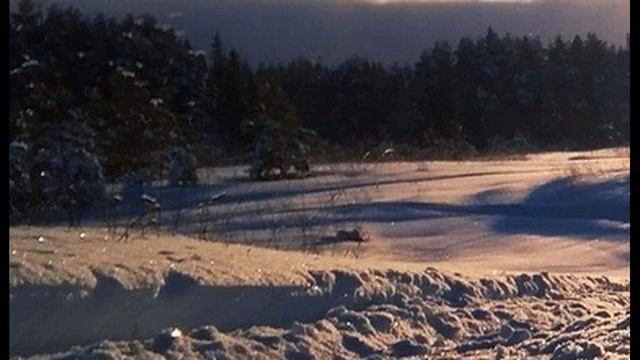 Л Филатов  Тает жёлтый воск свечи #стихиоПушкине #современнаяпоэзия