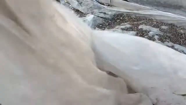 Пора снять укрытие с ..... смотреть онлайн