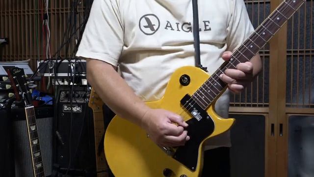 Edwards E LS90 LT 2007 & PEAVEY 6505 MH Mini Head Japan Edition 006 смотреть онлайн