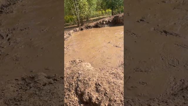 ВОЛЬЕРНАЯ ОХОТА НА КАБАНА