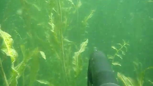 Щука Байкал, подводная охота смотреть онлайн