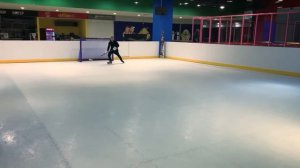 Синтетический лёд PE-1000 Simona Germany