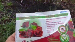 Спасатель для роз