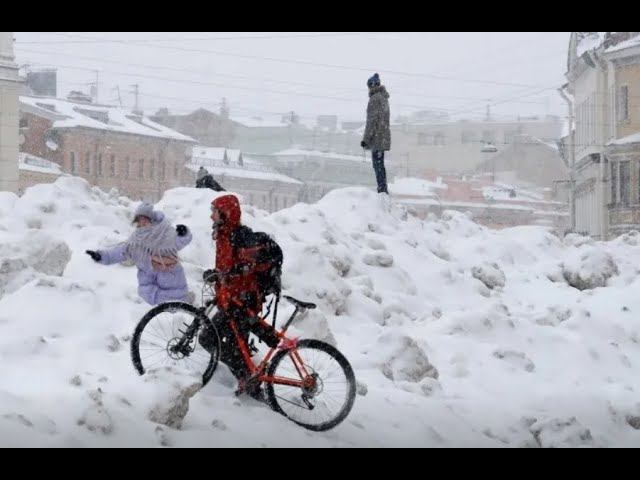 Испытание на прочность: как Петербург переживает последствия снегопада