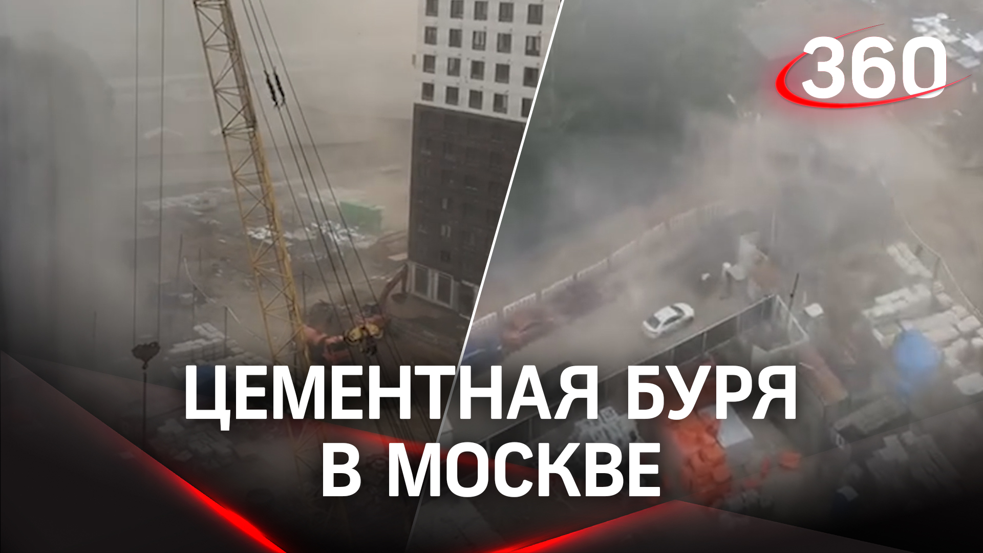 Боксеры в москве