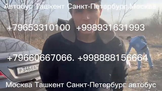 прямой рейс автобус москва-ташкент автобус ташкент-москва санкт-петербург Бухара автобус!! смотреть онлайн