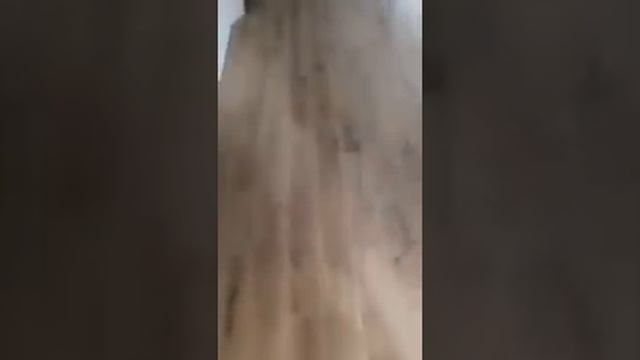 Широкоформатный паркет дуб смотреть онлайн