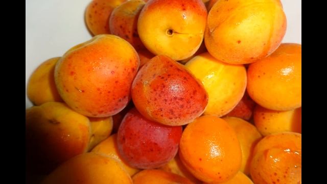 Все о пользе абрикоса смотреть онлайн