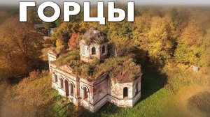 Деревня Горцы Шимский район Новгородская область ~ аэросьемка виды сверху с высоты птичьего полета