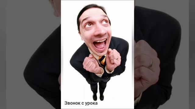 реакция на школьный звонок
