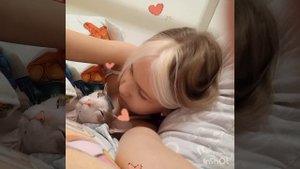 Моя кошка Татика #LOVE #shorts