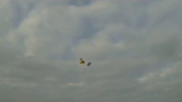 Марина ! С днем рождения !!!