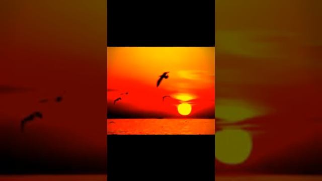 Хороші картинки під хорошу музику.