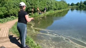Лобня. Луговая. Рыболовный клуб «Зелёный берег» Онлайн с водоема