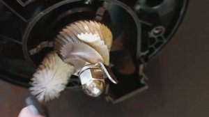 Graef cm 702 How to open up and clean it!