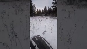 Каракат зис 5 по неглубокому снегу...
