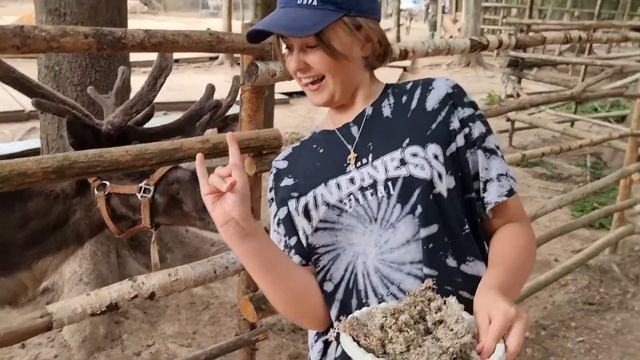 Оленья ферма Рузский район смотреть онлайн