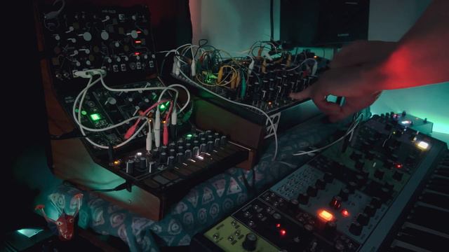 Matty & Wona // Make Noise Strega, 0-Coast, Moog Matriarch, Soma Pulsar-23, Lyra-8 смотреть онлайн