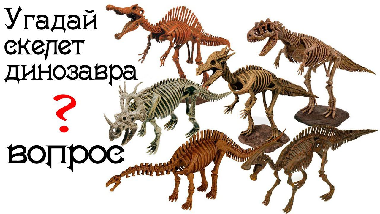 СКЕЛЕТ КАКОГО ДИНОЗАВРА Кто угадает что зарыто в этом гипсовом брикете