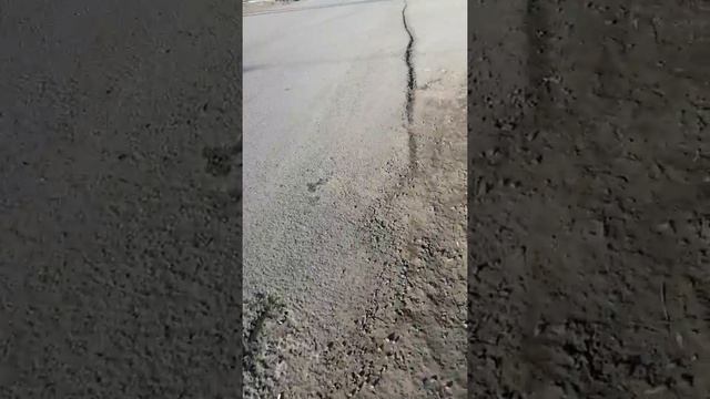 Губернатор Курганской Шумков под шумок строит дороги! смотреть онлайн