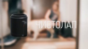 Полуавтоматическая мойка лап для собак  ЧИСТОЛАП лабрадор