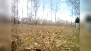 Как я научился бегать после инсульта.