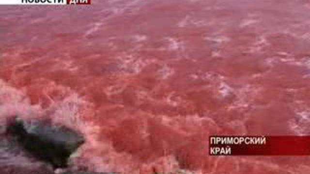Уникальное природное явление. Красный цвет Японского моря