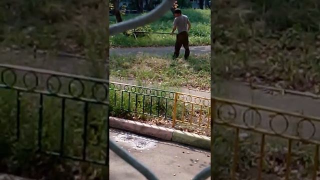 Дворник 21века,косит траву косой.